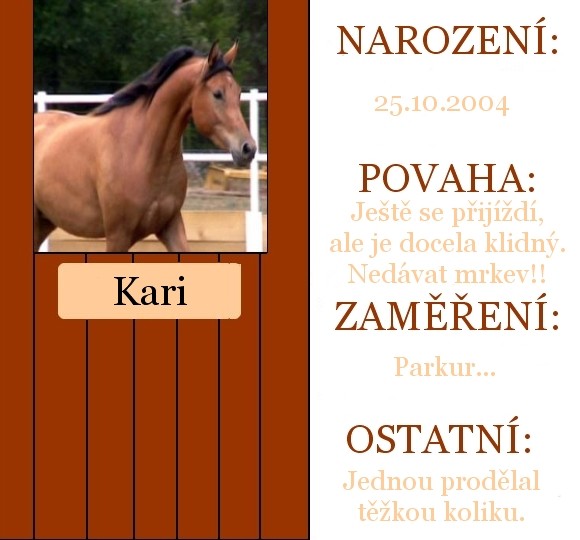 Obrazek
